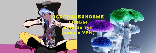 метадон Новозыбков